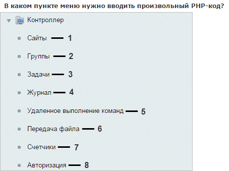 В каком пункте меню нужно вводить произвольный PHP код?