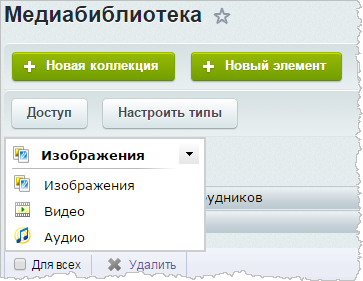 Для какого типа содержимого медиабиблиотеки можно настроить только свойство «Список расширений файлов»?